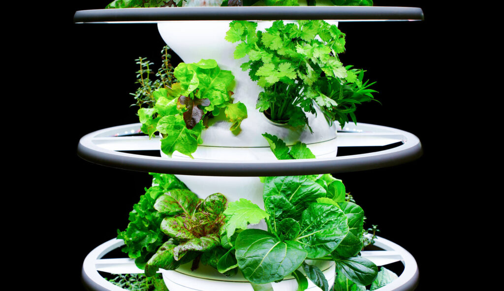 Hydroponic Farmstand